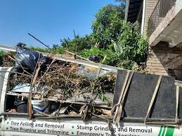 Best Retail Junk Removal  in Venice, IL