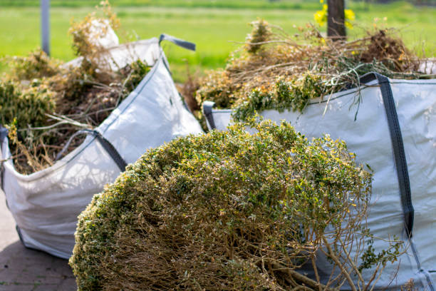 Best Shed Removal  in Venice, IL